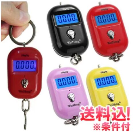 ラゲッジ スケール (約20g~25kg迄計測可)