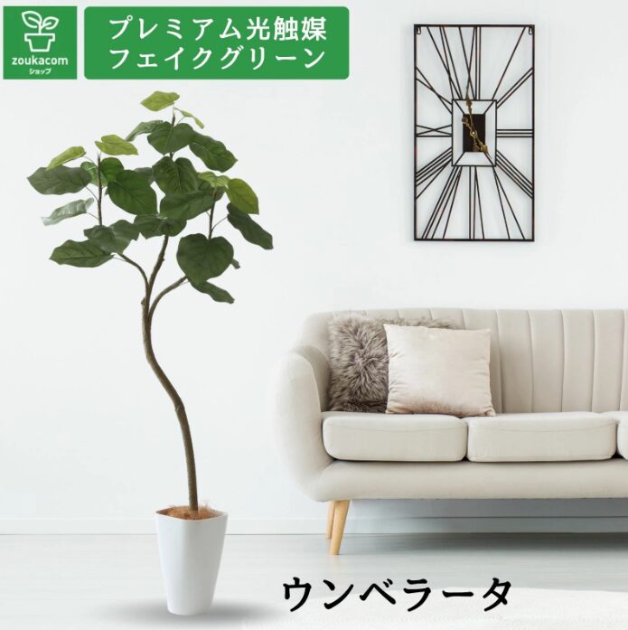 フェイクグリーン ウンベラーダ