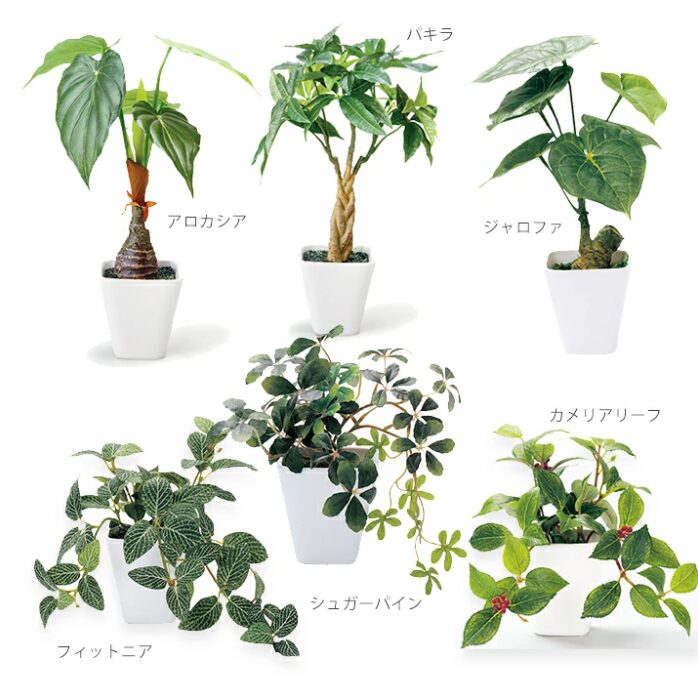 フェイクグリーン