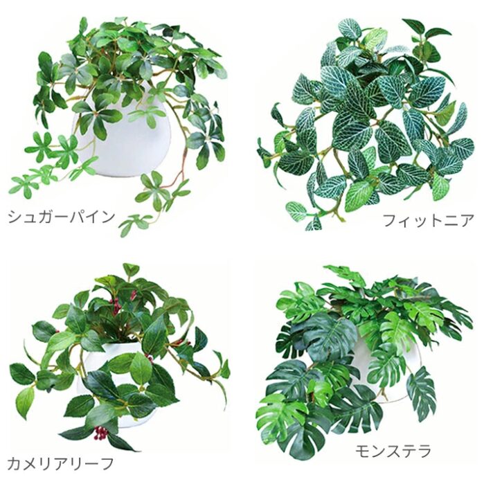 フェイクグリーン