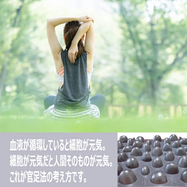 官足法ウォークマット