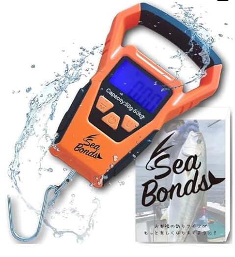 フィッシングスケール