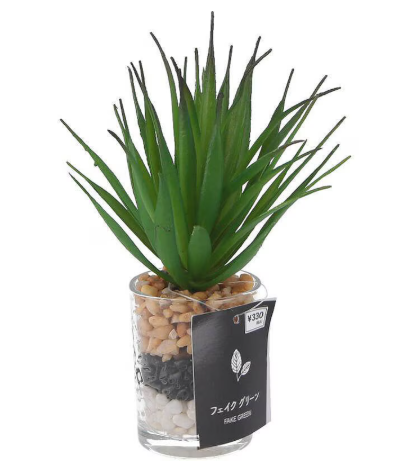 フェイクグリーン キャンドゥ