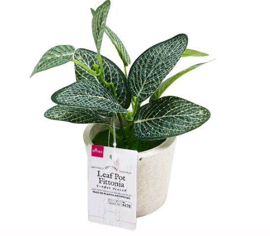 リーフポット(フィットニア)