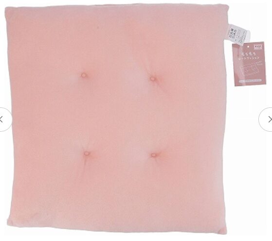 キャンドゥのもちもちシートクッションPK4953980402851