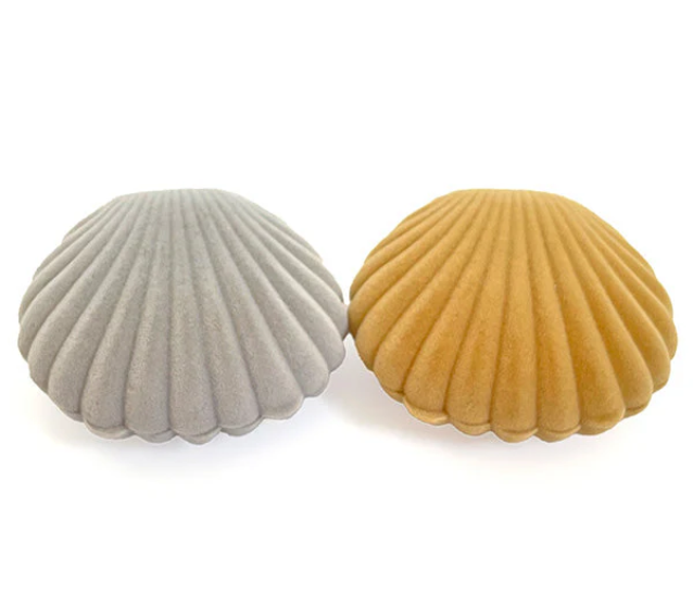 貝殻アクセサーケース