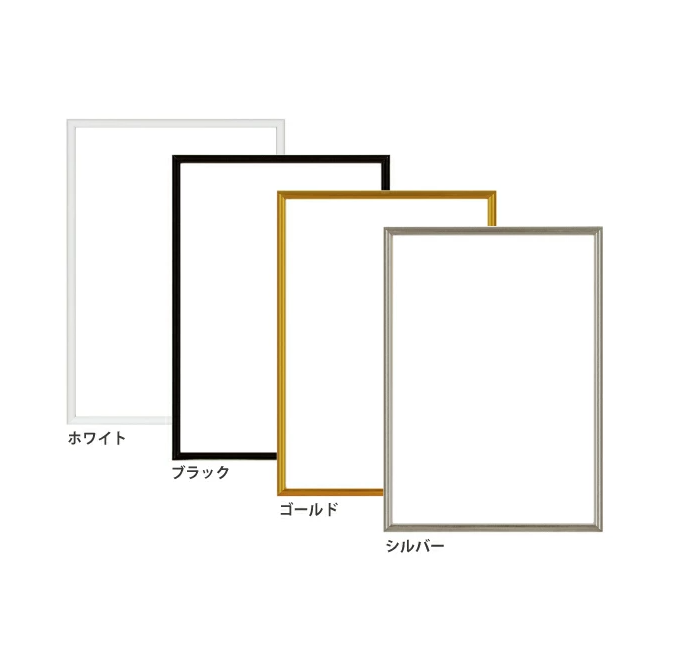 APJ フィットフレーム A2